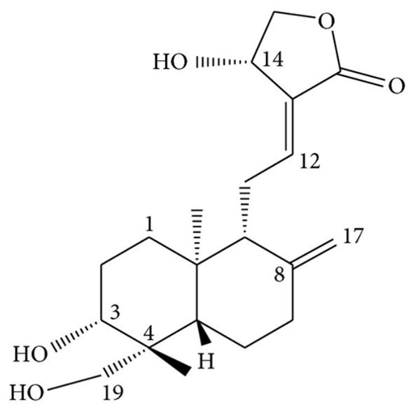 Cấu trúc hóa học của Andrographolide