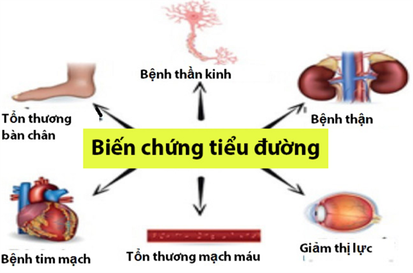 Berberine giúp giảm biến chứng cho bệnh nhân tiểu đường