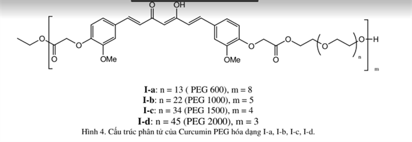 Cấu trúc curcumin peg hóa dạng I