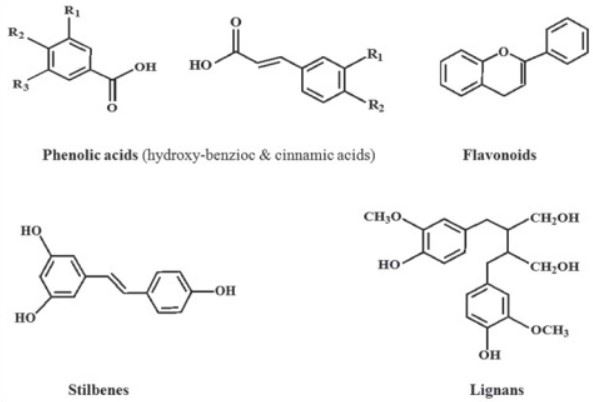 Cấu trúc hóa học của một số nhóm chất thuộc polyphenol
