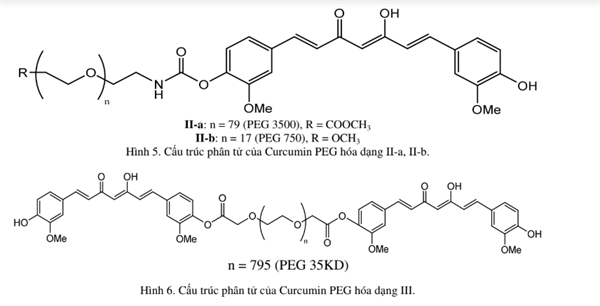 Cấu trúc curcumin peg hóa dạng II và III