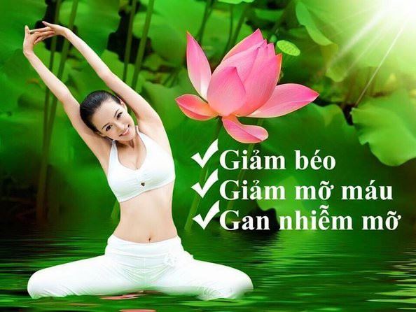 Lá sen có tác dụng giảm cân, giảm mỡ máu