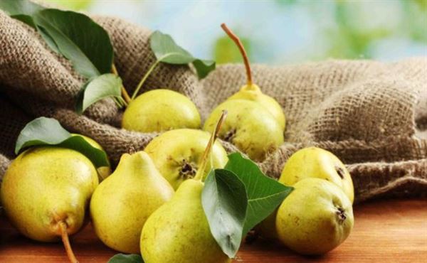 Lê là một trong những thực phẩm giàu polyphenol