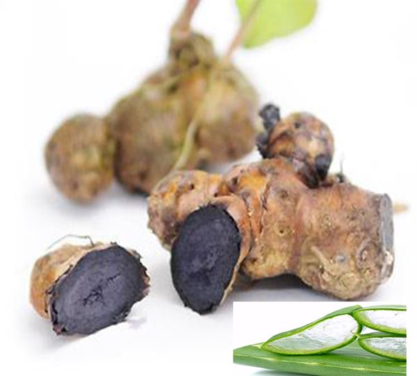 Mặt nạ nghệ đen và lô hội cũng giúp bạn đối phó hiệu quả với sẹo