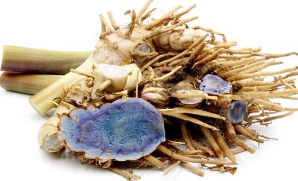 Nghệ đen có nhiều tác dụng với làn da