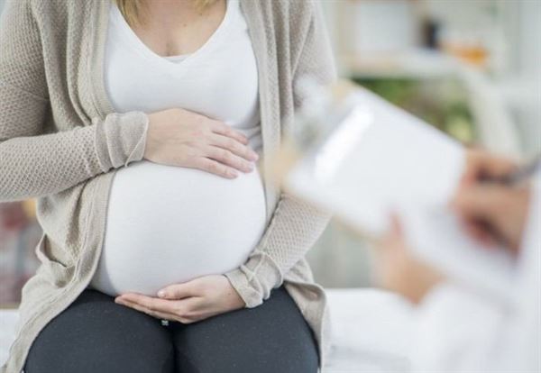 Rau mã đề giúp giảm tình trạng viêm nhiễm phụ khoa cho mẹ bầu