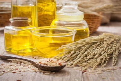 Dầu cám gạo – chắt lọc những giá trị tinh tế nhất từ hạt gạo Dầu cám gạo – chắt lọc những giá trị tinh tế nhất từ hạt gạo