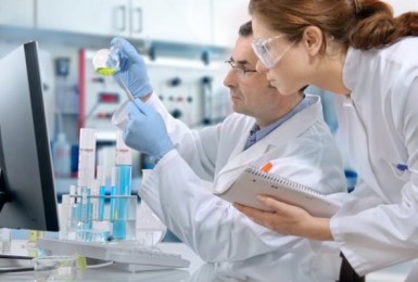 Nghiên cứu về Sinh khả dụng và dược động học của Sulforaphane trên người sau khi sử dụng súp lơ xanh đã nấu chín và súp lơ xanh sống. Nghiên cứu về Sinh khả dụng và dược động học của Sulforaphane trên người sau khi sử dụng súp lơ xanh đã nấu chín và súp lơ xanh sống.