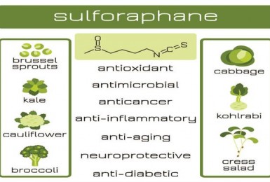 Bật mí 7 tác dụng quý giá mà Sulforaphane đem lại cho sức khỏe con người Bật mí 7 tác dụng quý giá mà Sulforaphane đem lại cho sức khỏe con người