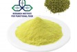Bột Rutin